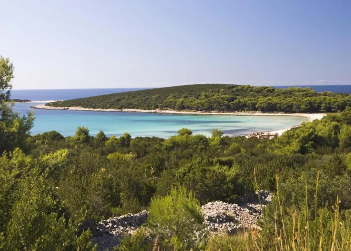 In Mit Meerblick, Terrasse, Klimaanlage, W-lan 4659-1 Apartman Luka (Dugi Otok)